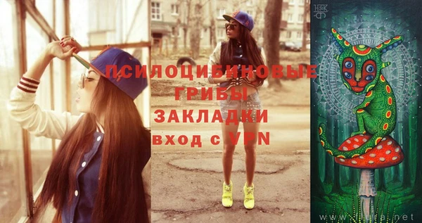 таблы Надым