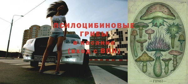 таблы Надым