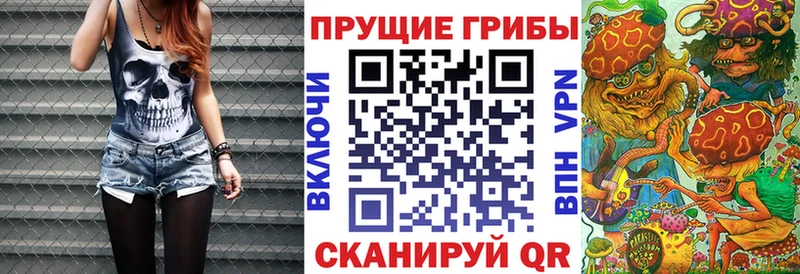 Псилоцибиновые грибы MAGIC MUSHROOMS  hydra вход  Прокопьевск 