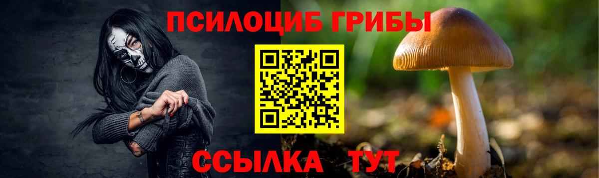 Галлюциногенные грибы Psilocybe  Прокопьевск 