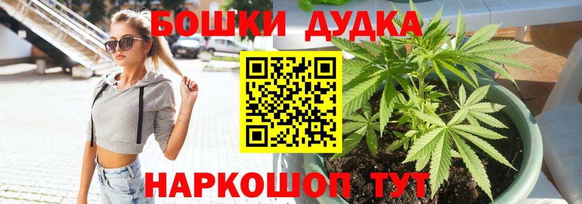 Бошки марихуана планчик  Вход с VPN  Прокопьевск  Конопля гибрид 